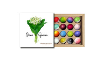 Coffret 16 dômes 1er Mai
