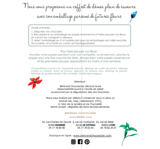 VERSO-PAPIER-ENSEMENCE