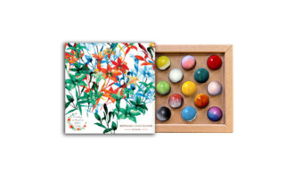 Coffret 13 dômes ensemencé